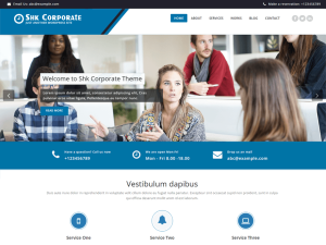 Standard WordPress Website <h4><div class="buy-wrap"><a href="#" class="buy-btn">($200/Website)</a></div></h4><br />🔹🔹🔹🔹🔹🔹🔹